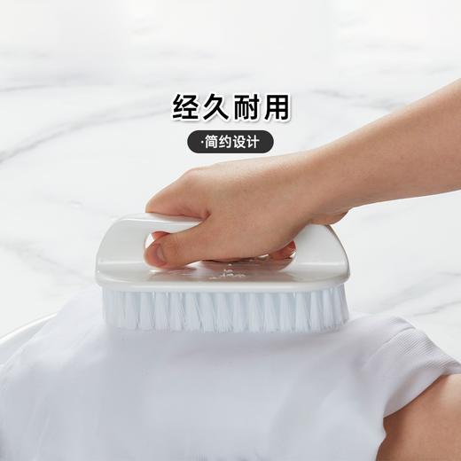 衣刷子家用洗鞋刷子清洁刷子多功能清洁洗衣刷 商品图0