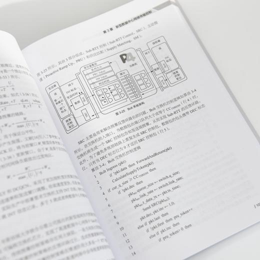 新型数据中心网络 从云数据中心到智算中心网络 网络测量 可编程数据面 商品图3
