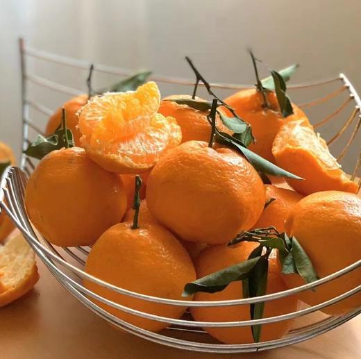 【蒲江耙耙柑】农家自种，当季新鲜，肉细多汁，原生态果子！ 商品图7