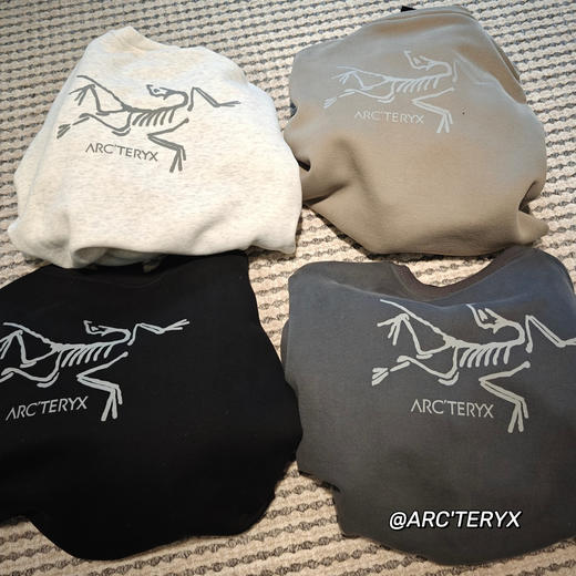 男女同款鸟家加绒加厚580g卫衣 商品图13