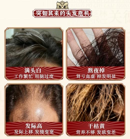 【九黑黄精芝麻粉】 商品图1