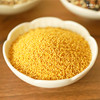中国地标食物 | 正宗山西沁州黄小米 米油丰厚 米汤金黄 香甜暖胃 商品缩略图2