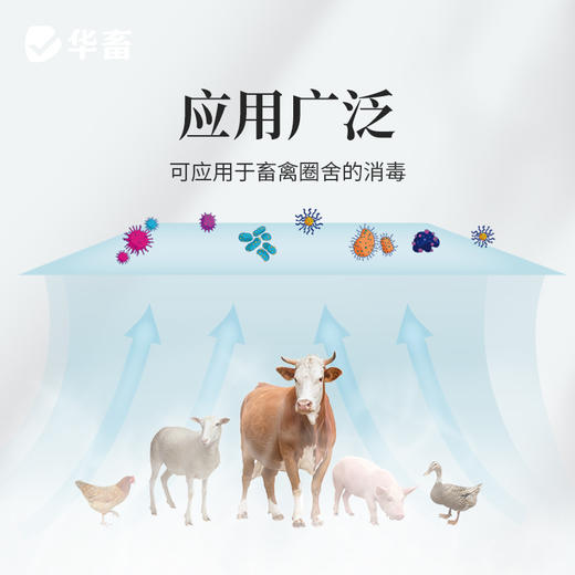 【积分兑换】华畜百毒消600g  净化空气 孕畜可用 烟熏消毒剂可带畜使用 商品图3