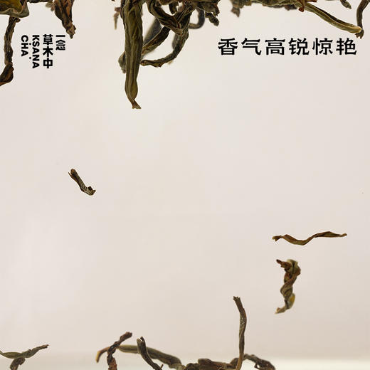 雪片·单丛鸭屎香 | 功夫口粮系列 | 50g/盒 | 乌龙茶类 商品图1