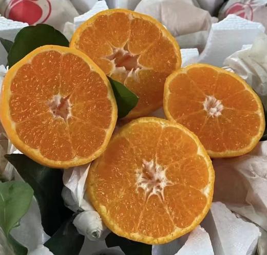 【蒲江耙耙柑】农家自种，当季新鲜，肉细多汁，原生态果子！ 商品图2