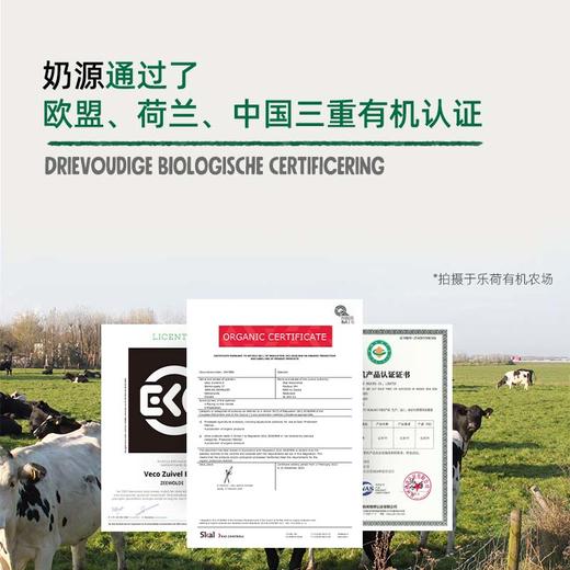 乐荷 荷兰原装进口A2有机羊奶粉 独立包装 顺丰发货 25g*5袋/盒 商品图4