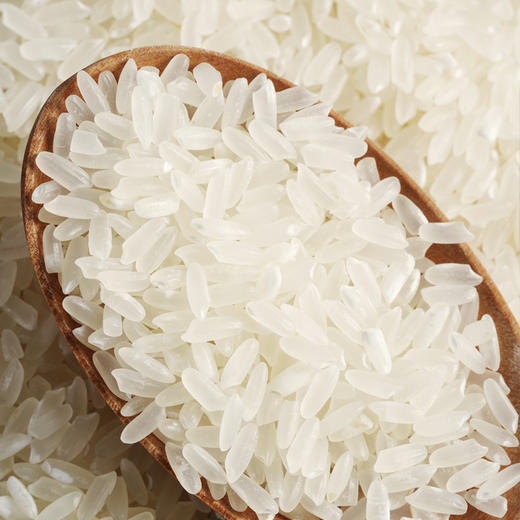 中国地标食物 | 正宗五常稻花香2号大米 核心产区直发 商品图4