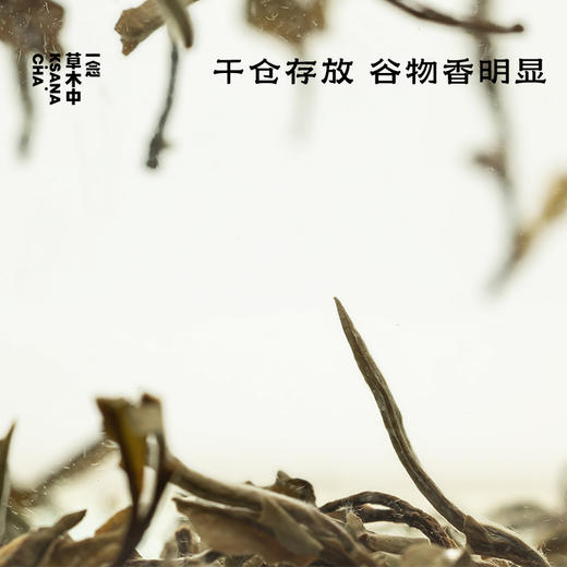 霞落雾海·2014白牡丹 | 私房清饮系列 | 50g原叶 | 白茶类 商品图1