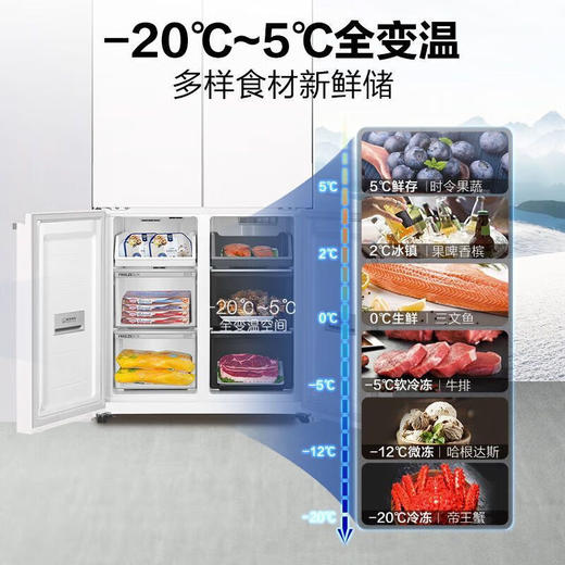 海尔统帅BCD-456WGLTD45L9U1冰箱一级能效零嵌四开门法式风冷无霜 456升 十字开门/嵌入/风冷无霜法式/零嵌 商品图5