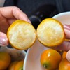 雲端脆蜜•金柑【顺丰/京东发货】 商品缩略图6