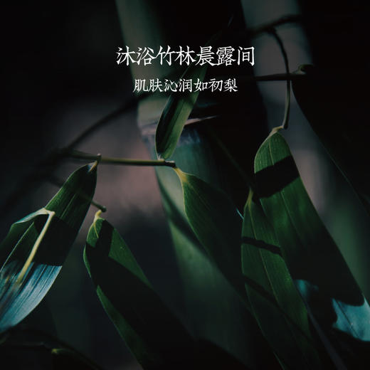 2026新年礼盒 逐梦双驹 手工皂礼盒 早晚清洁礼盒 商品图10