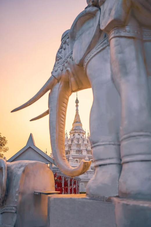 云南界头油菜花、边境瑞丽&芒市“异国”风情、神秘哀牢山“暮光森林”、临沧云海、元阳梯田光影8天摄影团 商品图2