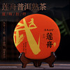 茶马世家丨莲舟 13年陈云南昔归古树普洱熟茶357g 百鸟朝凤礼盒装 商品缩略图0
