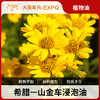 山金车浸泡油植物基础油美容院按摩油进口原料批发Arnica 商品缩略图0