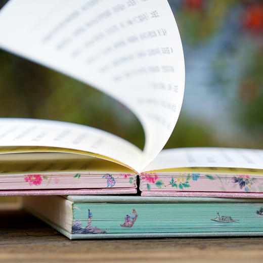 浮生六记（彩图本） 商品图4