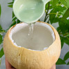 泰国椰皇 奶香清甜轻松开启 商品缩略图2