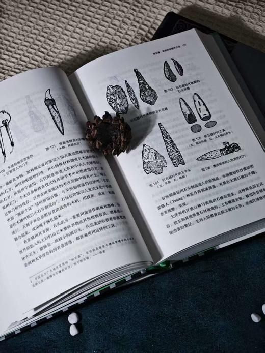 事物的起源:简明人类文化史,人类命运启示录 商品图3