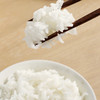 中国地标食物 | 正宗五常稻花香2号大米 核心产区直发 商品缩略图6