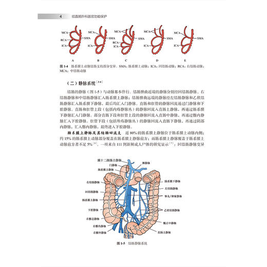 结直肠外科器官功能保护 叶颖江 申占龙 涵盖了从物理治疗中医特色疗法等非手术方法到必要的外科补救措施的选择北京大学医学出版社 商品图4