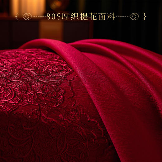 多喜爱 喜玫瑰 80S厚织提花八件套 欢悦于爱【B面60S新绒棉】 【玫瑰花刺绣】【拼框工艺】【拉杆箱包装】色泽亮丽 垂坠感佳 商品图2