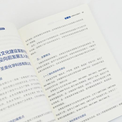 工业和信息化质量提升与品牌建设典型案例：品牌建设 22个典型案例可复制的方法论经验路径参考 中国品牌建设指导书籍 商品图2