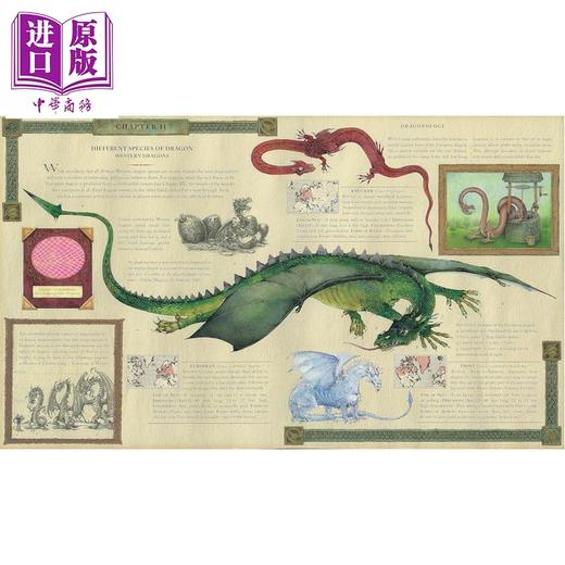 预售 【中商原版】龙之书 龙的完全指南 Dragonology The Complete Book of Dragons Ologies 英文原版 Ernest Drake 商品图3
