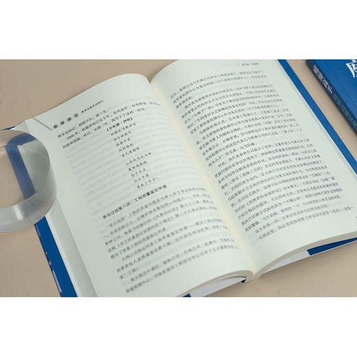 庭辩高手：律师法庭实战技巧  李桐样著  法律出版社 商品图2