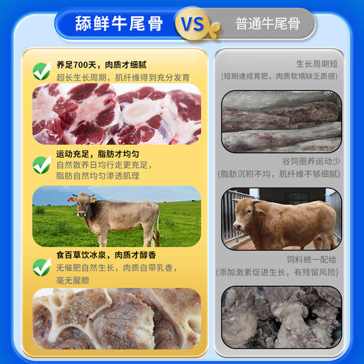 舔鲜天山慢养牛尾骨 商品图4