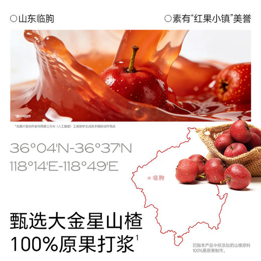 【不二宝贝】山楂鸡内金六物消消™葫芦串（桶装）234g 商品图3