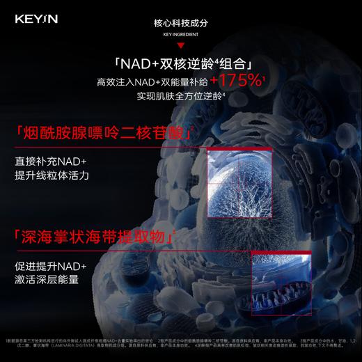 【会员权益】KEYiN 红韵奢护尝鲜装 (红汽水30ml*1+prp次抛精华*1+NA D+丝绒膏5g*1+赤兰面膜5g*2) 商品图10