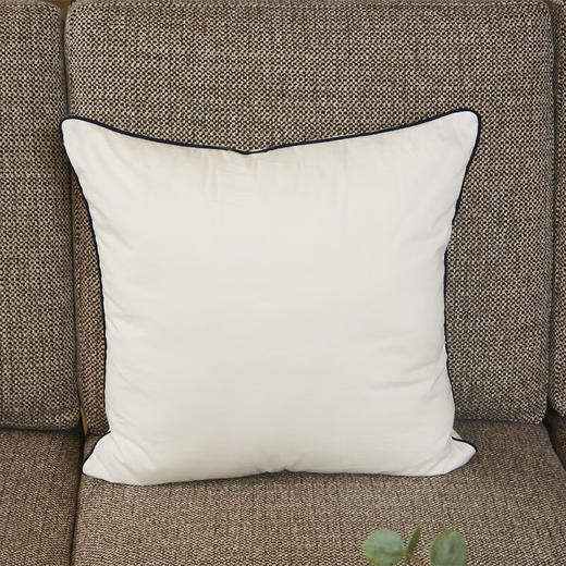 沙发抱枕芯内胆家用正方形靠垫芯高弹力 商品图0