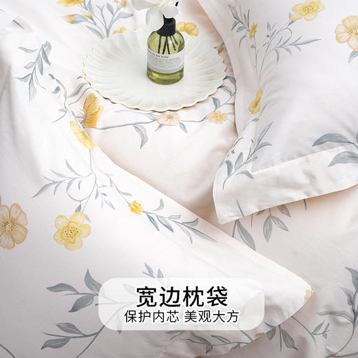 多喜爱 全棉斜纹印花套件【甄选新疆棉】【芬纳诺抗菌】【AB版设计】【宽边枕袋】柔软亲肤 吸湿透气 耐洗耐磨 不易褪色云鸽眠眠/拾光花序/语花瑟/豆蔻紫鸢/浅朵/森派/夏日紫藤 /新域/山野晴风 商品图1