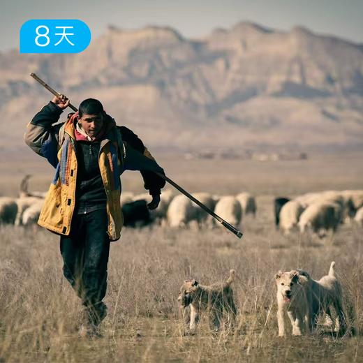 格鲁吉亚早春特辑｜春光乍泄高加索  8日 商品图1