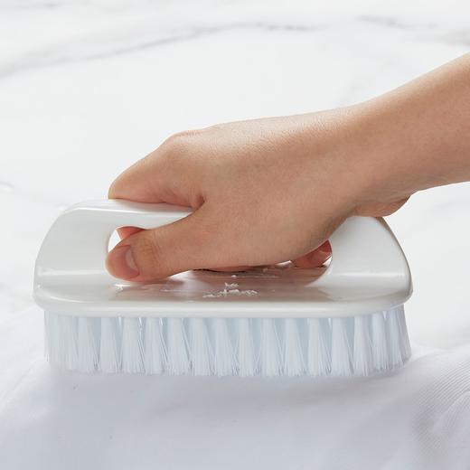 衣刷子家用洗鞋刷子清洁刷子多功能清洁洗衣刷 商品图1