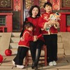 西子/绛春梢海棠喜鹊竹叶提花夹羊毛新中式短款旗袍/CQHY0210 商品缩略图3