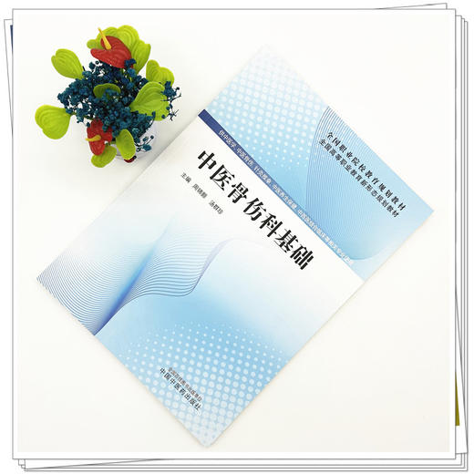 中医骨伤科基础 周锦颢 汤群珍 主编 全国高等职业教育新形态规划教材 中国中医药出版社 商品图1