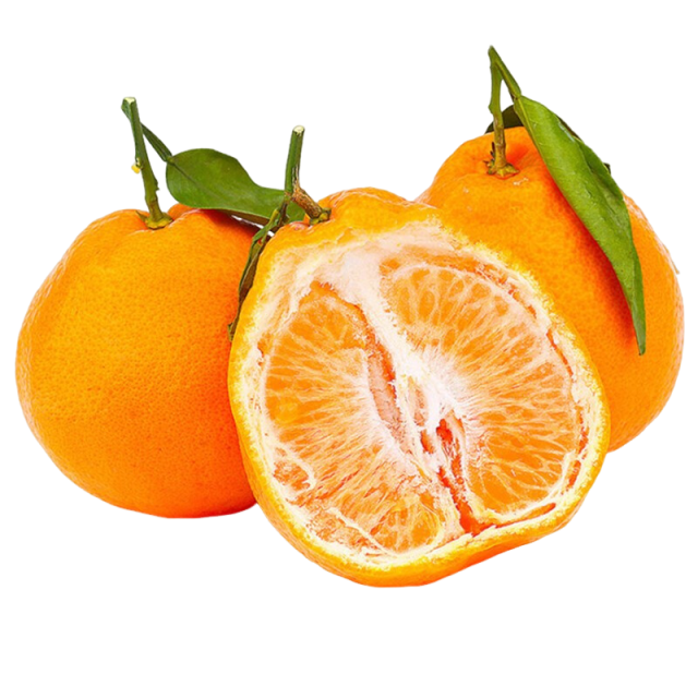 四川 春见耙耙柑 4.5斤装