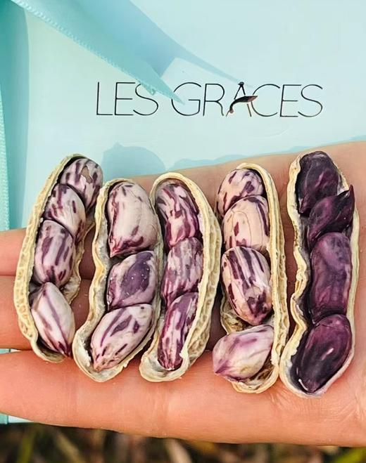 云南优质七彩花生|专业加工花生20多年的省级重点龙头企业，采用龙岩古法湿烤工艺精心制作，香甜细腻，口口酥脆，越嚼越香，好吃到停不下来，聊天，追剧，下酒零食首选~ 商品图3