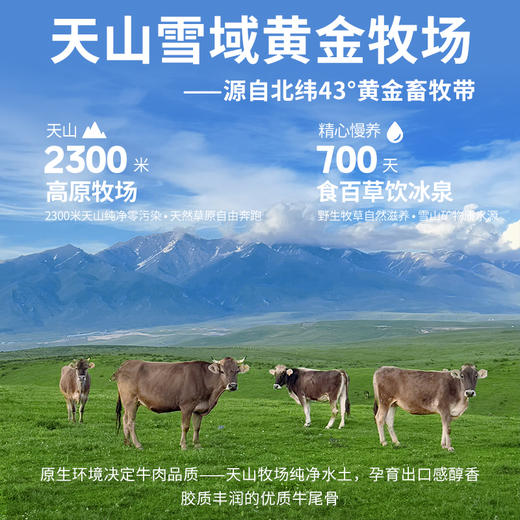 舔鲜天山慢养牛尾骨 商品图5