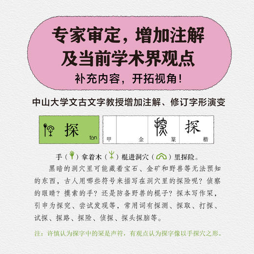 《汉字树》全10册  7-15岁   5大主题包罗万象  讲清 1500多个常用字的来龙去脉  打开认识汉字的新思路 商品图3