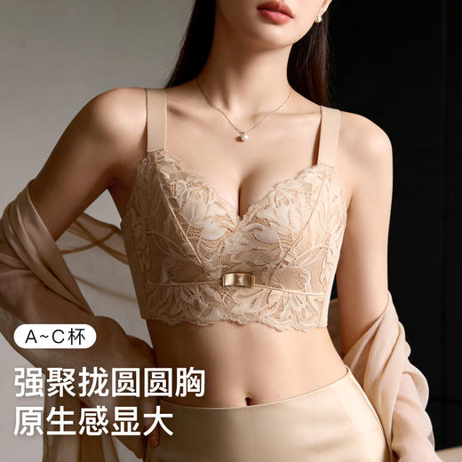 【298选3】A2-【A-C杯】【小胸专属 聚拢显大A变C】内衣女防下垂收副乳上托调整型文胸   浅语梦楹 商品图3