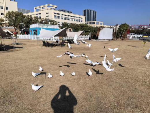 【入园预约】乐也亲子乐园.滨江乐野店 商品图1