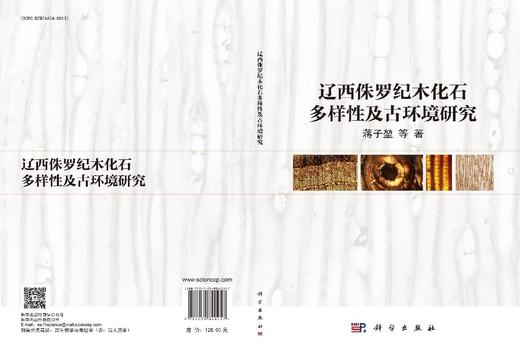 辽西侏罗纪木化石多样性及古环境研究 商品图3