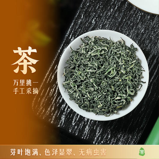 川红 东方茶韵林湖碧螺春120g2.0版 商品图2
