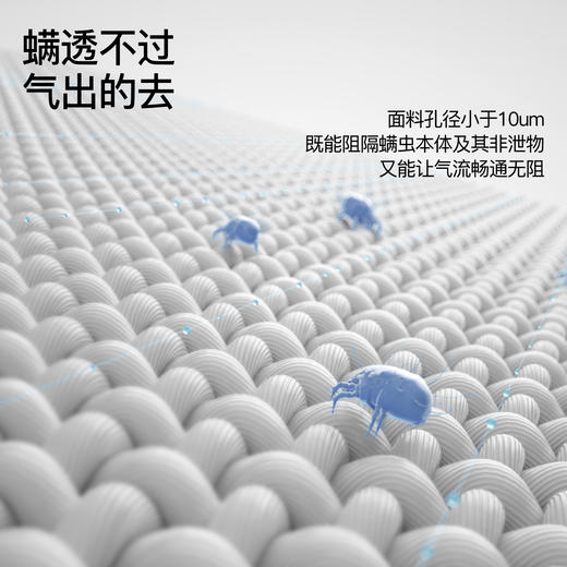 舒飘儿Soft物理阻螨超柔枕 【佳人严选】 商品图3