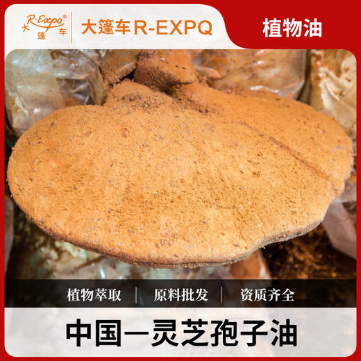 灵芝孢子植物油 超临界CO2萃取原料批发油按摩基础油 Ganoderma 商品图0