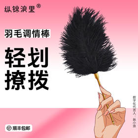 missfun高端调情羽毛棒 TK挠脚心挠痒痒