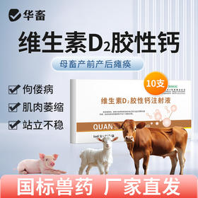 华畜维生素D2胶性钙注射液  补钙 佝偻病软骨症维丁胶性钙