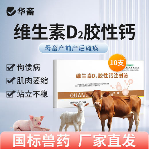 华畜维生素D2胶性钙注射液  补钙 佝偻病软骨症维丁胶性钙 商品图0