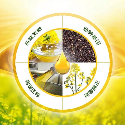 5L爱菊特香菜籽油 商品图3